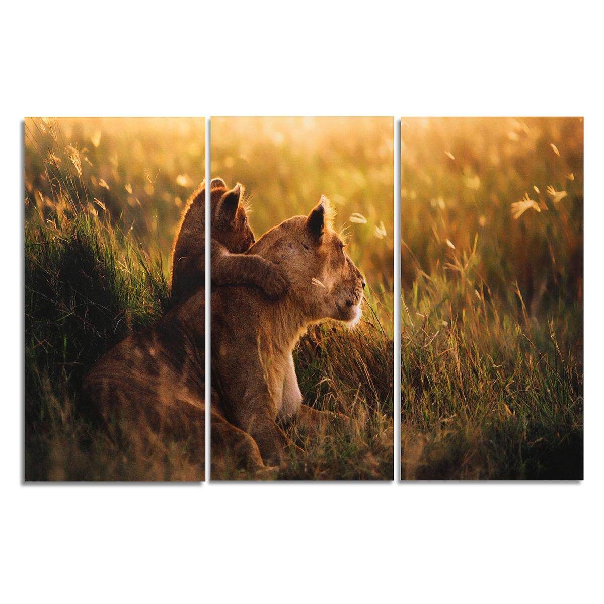 3pcs Canvas Prints Lion Combination Banner Unframed Home Wall Decor
