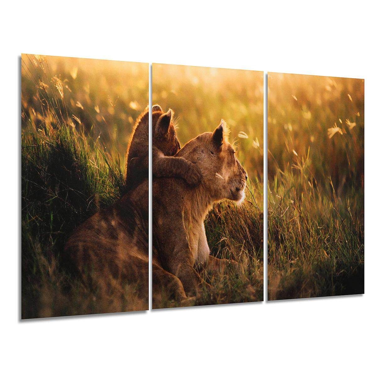 3pcs Canvas Prints Lion Combination Banner Unframed Home Wall Decor