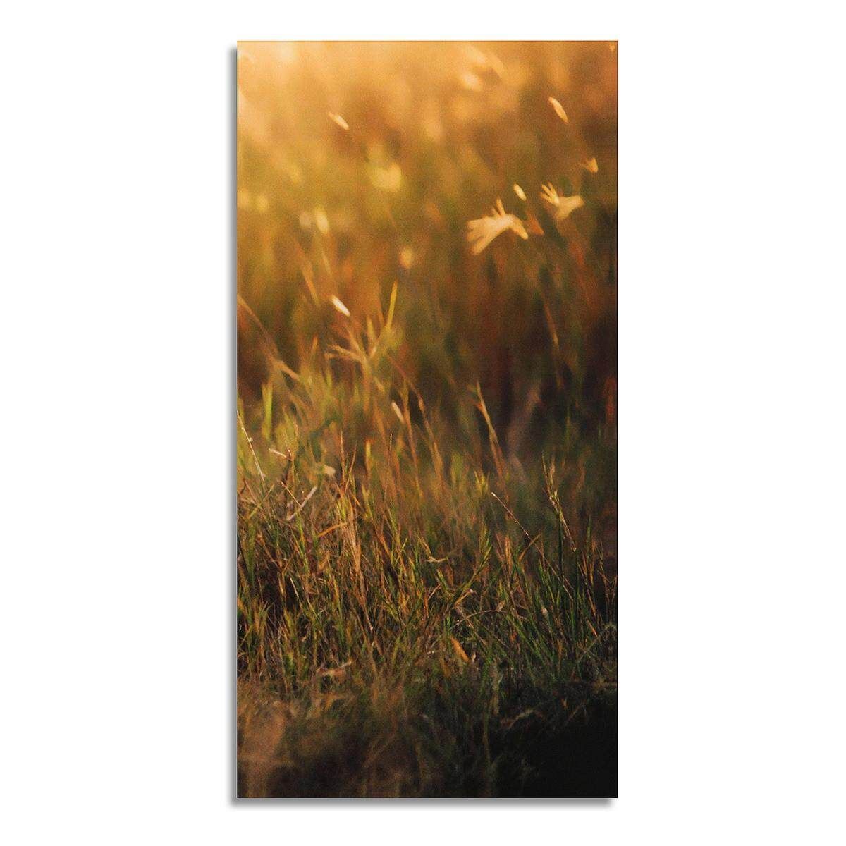 3pcs Canvas Prints Lion Combination Banner Unframed Home Wall Decor