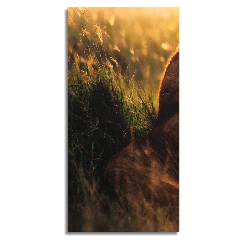 3pcs Canvas Prints Lion Combination Banner Unframed Home Wall Decor