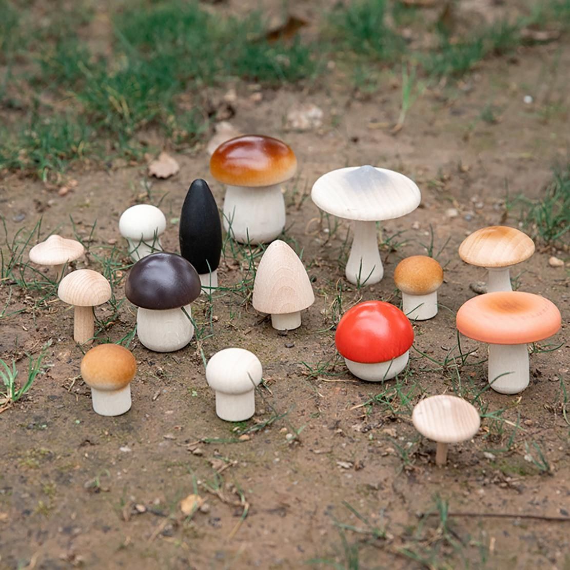14Pcs Wooden Mushroom Set Natural Unfinished Mushroom DIY