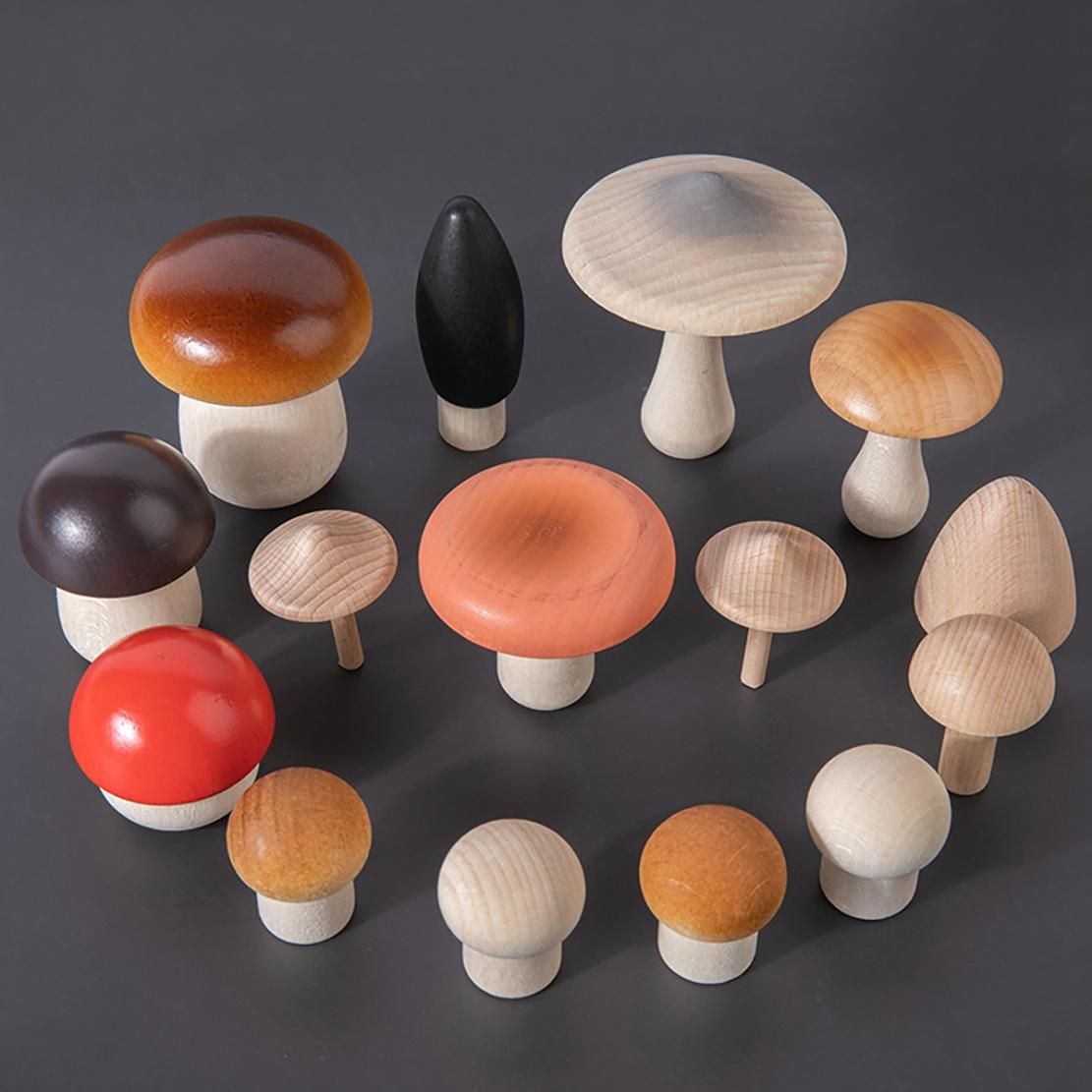 14Pcs Wooden Mushroom Set Natural Unfinished Mushroom DIY