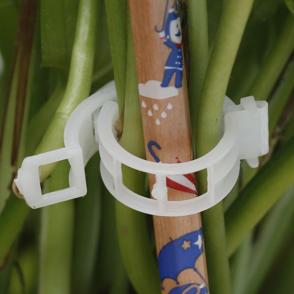 100/250pcs Plant Support Clips For Tomato Hanging Trellis Vine Connects Plants Protection-50pcs