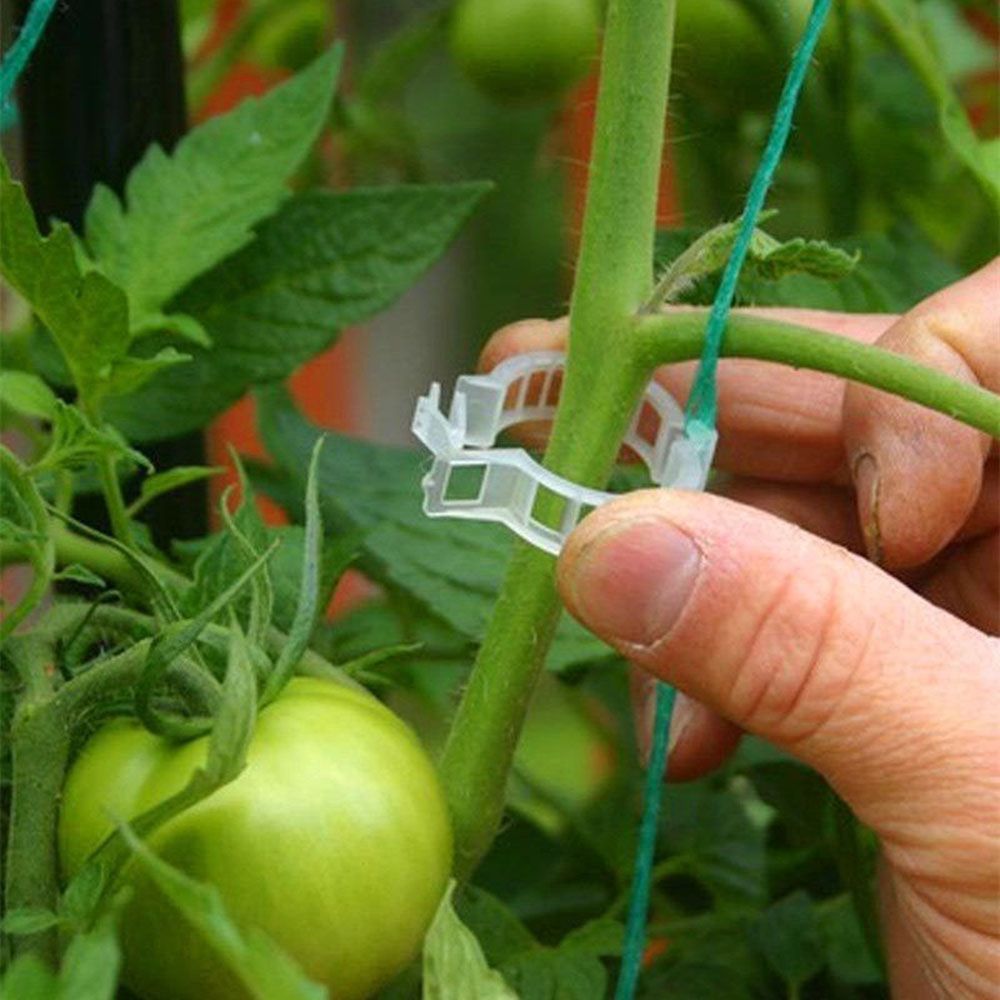 100/250pcs Plant Support Clips For Tomato Hanging Trellis Vine Connects Plants Protection-50pcs