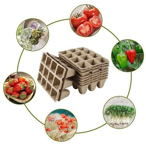 Seedling Tray Tray 10 Square Peat Pots 1 Seedling