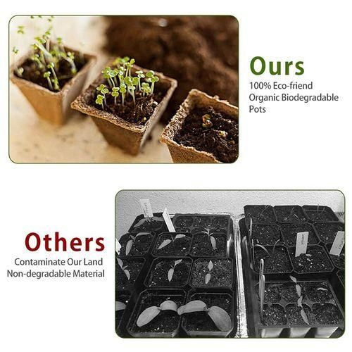 Seedling Tray Tray 10 Square Peat Pots 1 Seedling