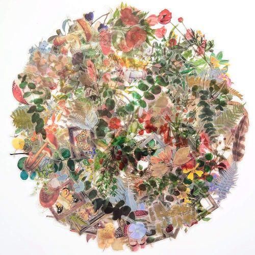 240PCS Transparent Decorative Stickers,Special
