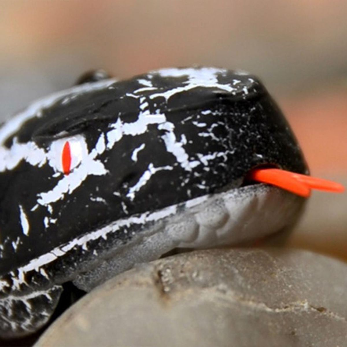 Remote Control Snake Toy Realistic Infrared Remote for Halloween Black