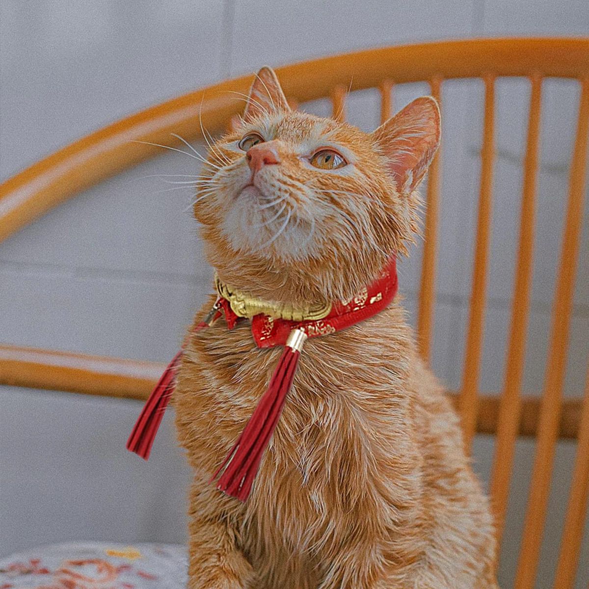Cute Pet Collar Cat Bow Tie Dress Up Puppy Clothing New Year Party Red