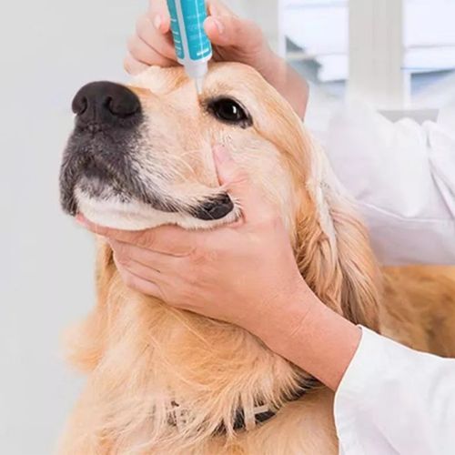 1Bottle 60ML Pet Eye Drops Dogs Cats Eyes Tear Stain Remover, Anti-inflammatory