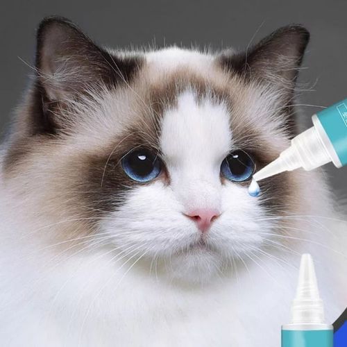 1Bottle 60ML Pet Eye Drops Dogs Cats Eyes Tear Stain Remover, Anti-inflammatory
