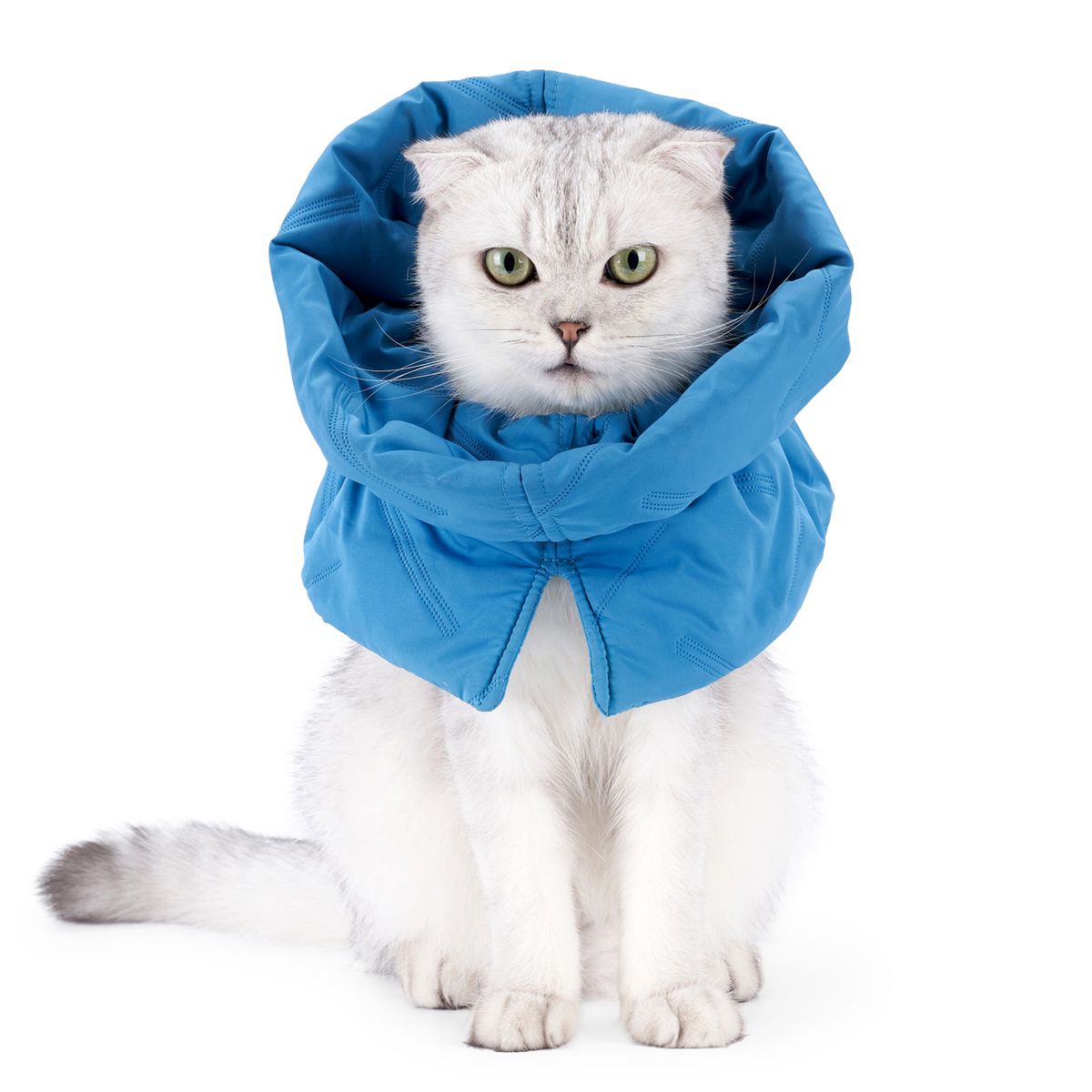 Cat Cone Collar Stop Licking Adjustable Scarf Warm Recovery