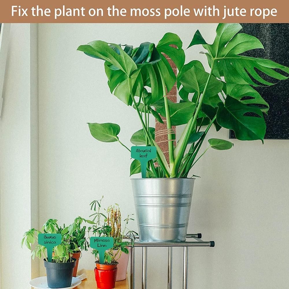 Moss Rod Spiral Totem Plant Support for Climbing Plants