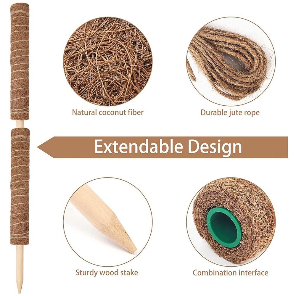 Moss Rod Spiral Totem Plant Support for Climbing Plants