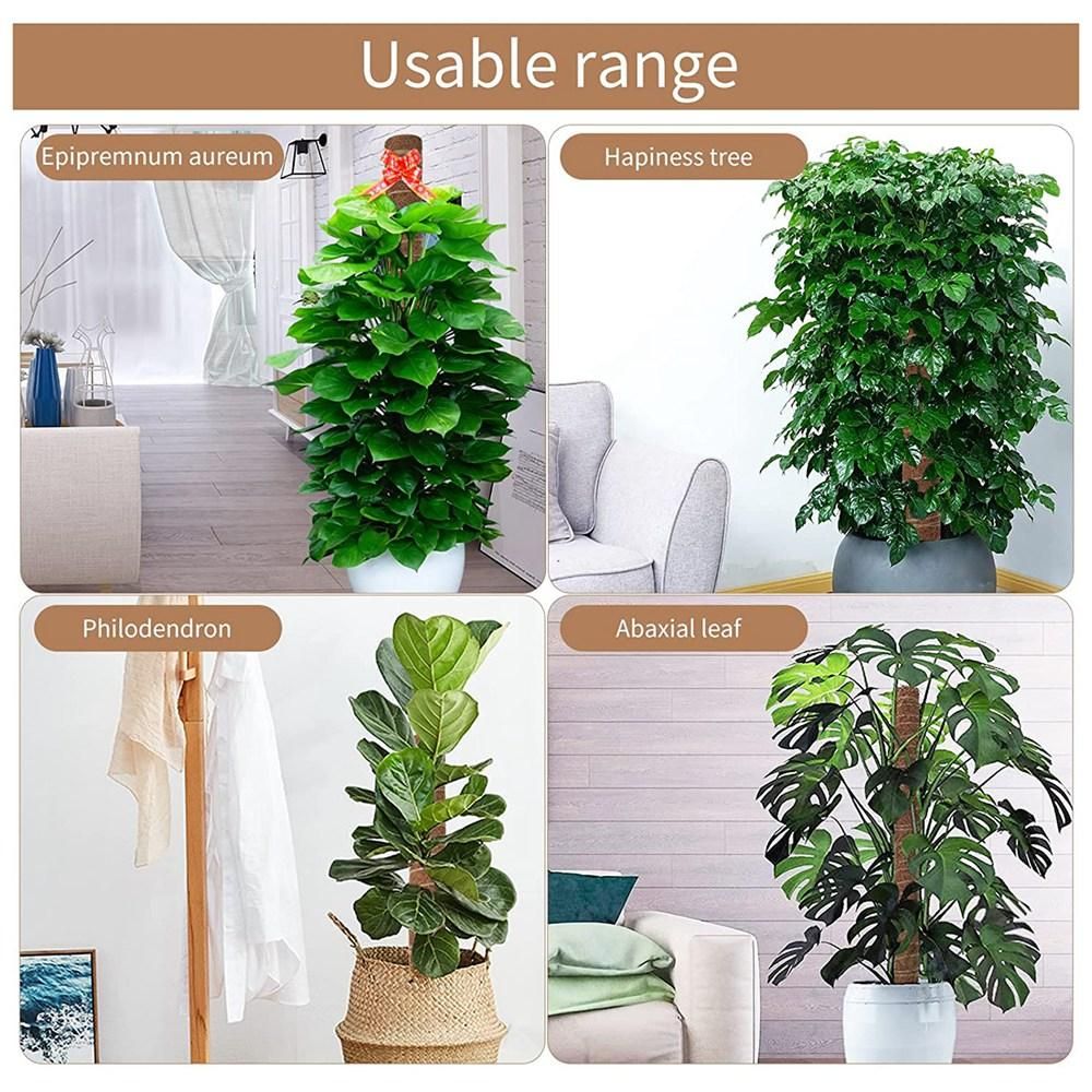Moss Rod Spiral Totem Plant Support for Climbing Plants
