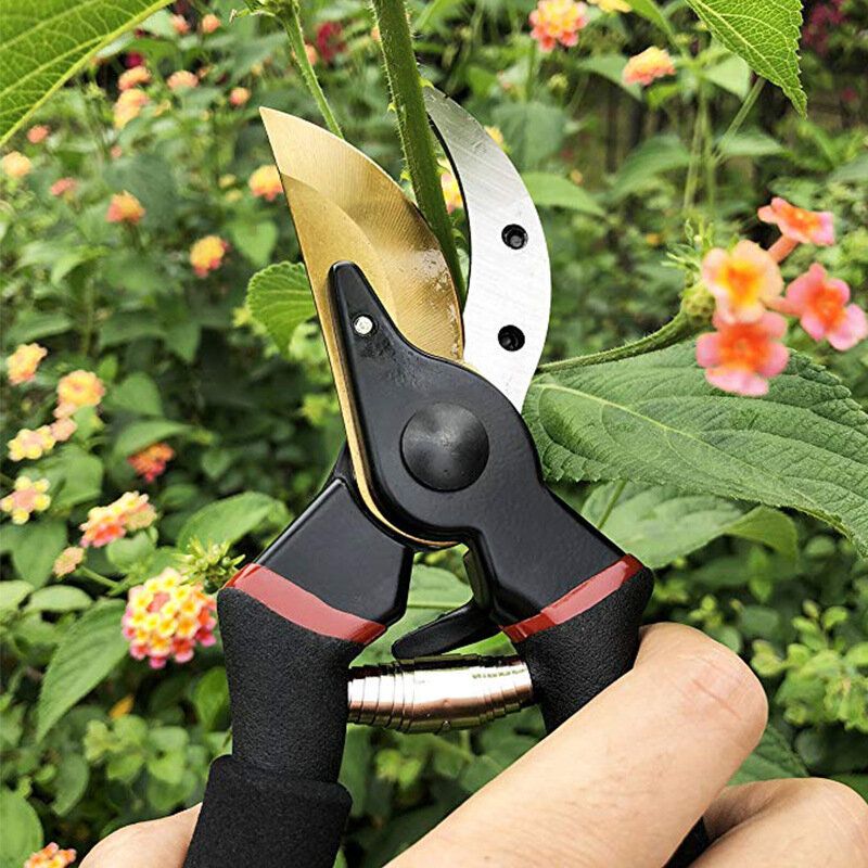 8\" Professional Premium Titanium Bypass Pruning Shears