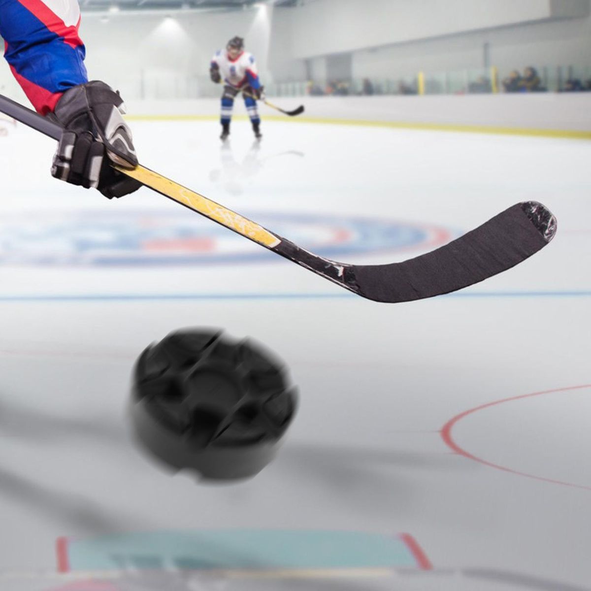 Inline Roller Hockey Puck Dryland Skate Ball Official