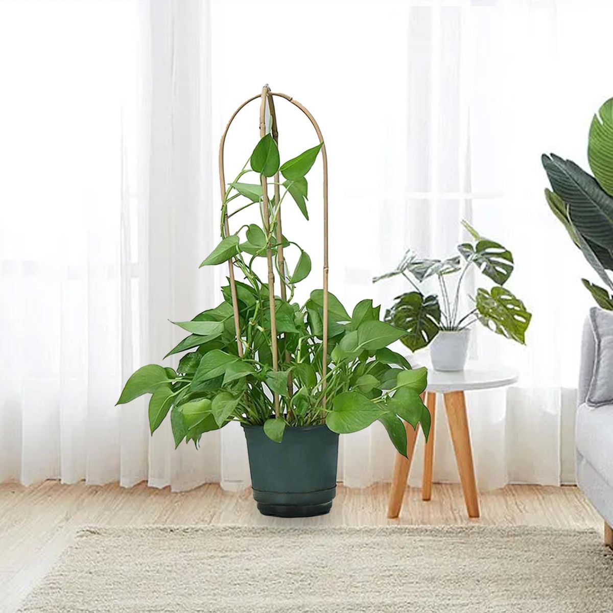 10PcsSet Flower Pot Stand Plant Support Trellis with Twist Ties