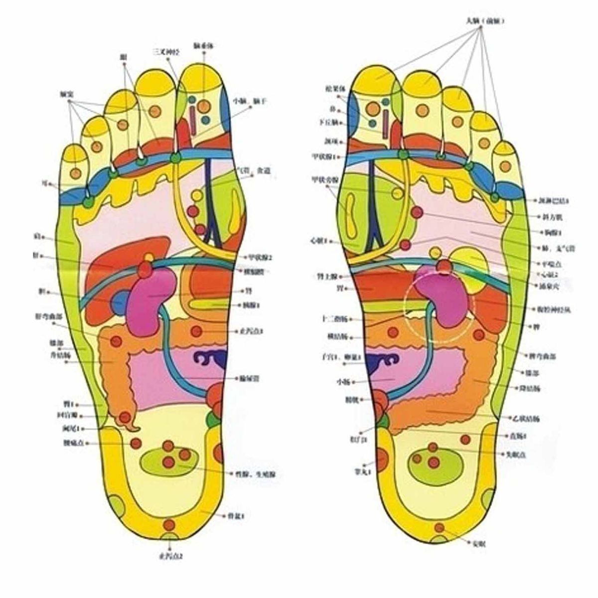 Patches C059 And Box Foot Massager Pads Retail 1 Adhesive) With Foot And Detox Pads(10pcs Box Foot Detox Adhesive