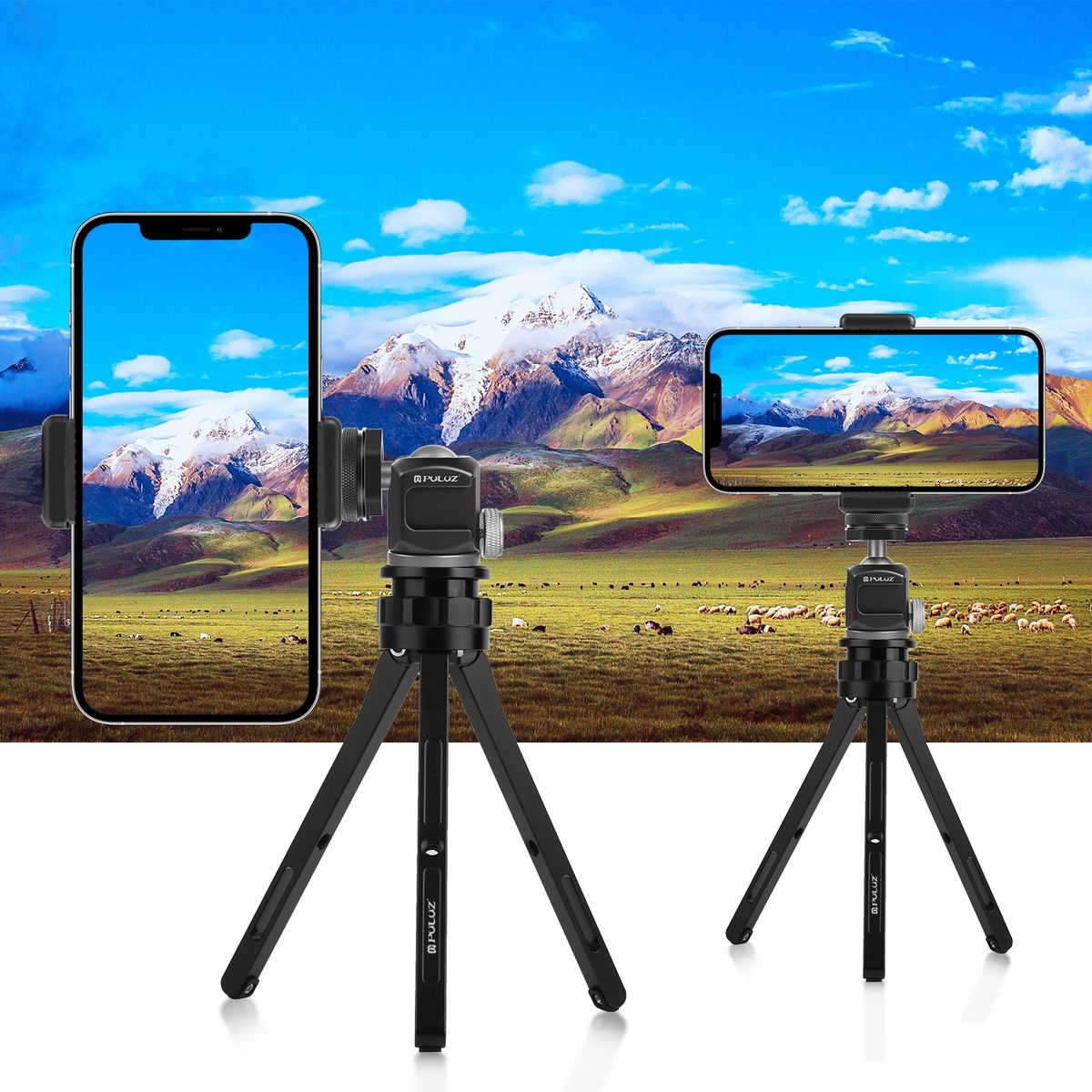 Dual Cold Shoes Tripod Ball Head Adapter