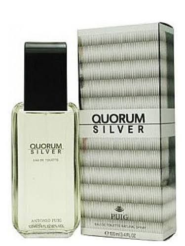 Silver Men Edt 100ml Perfume