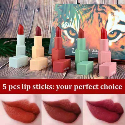 5 PCS Of Cosmetic Lipsticks / Rouge