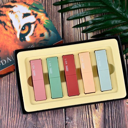 5 PCS Of Cosmetic Lipsticks / Rouge