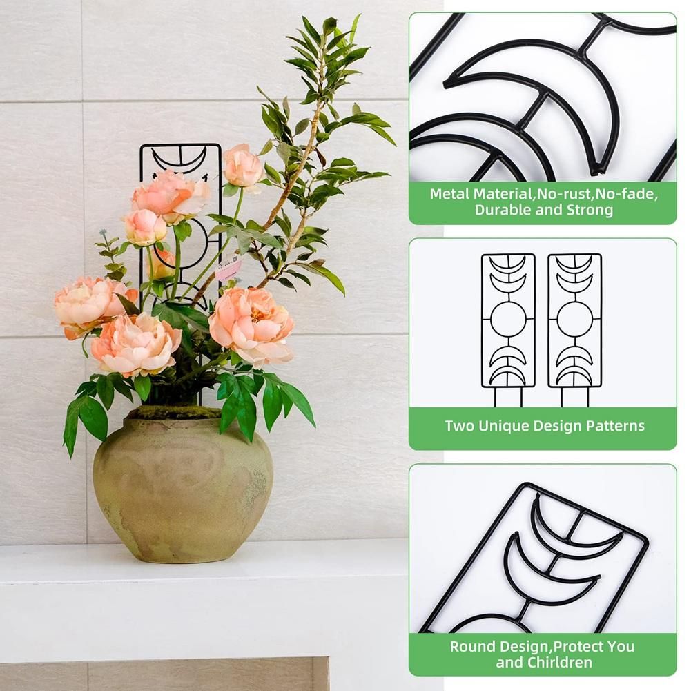 2 Pack Plant Trellis for Climbing Plants Indoor,14 Inch