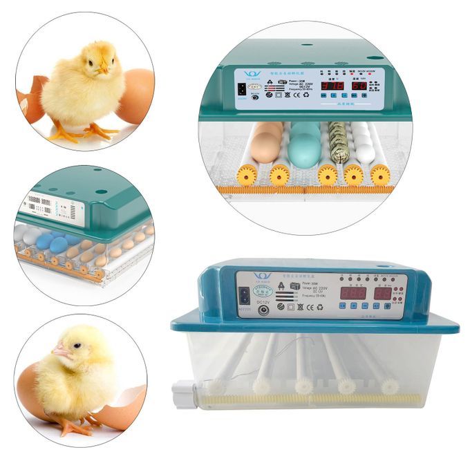 Automatic 24 Eggs Incubator Fully Digital Hatcher Home Clear Egg