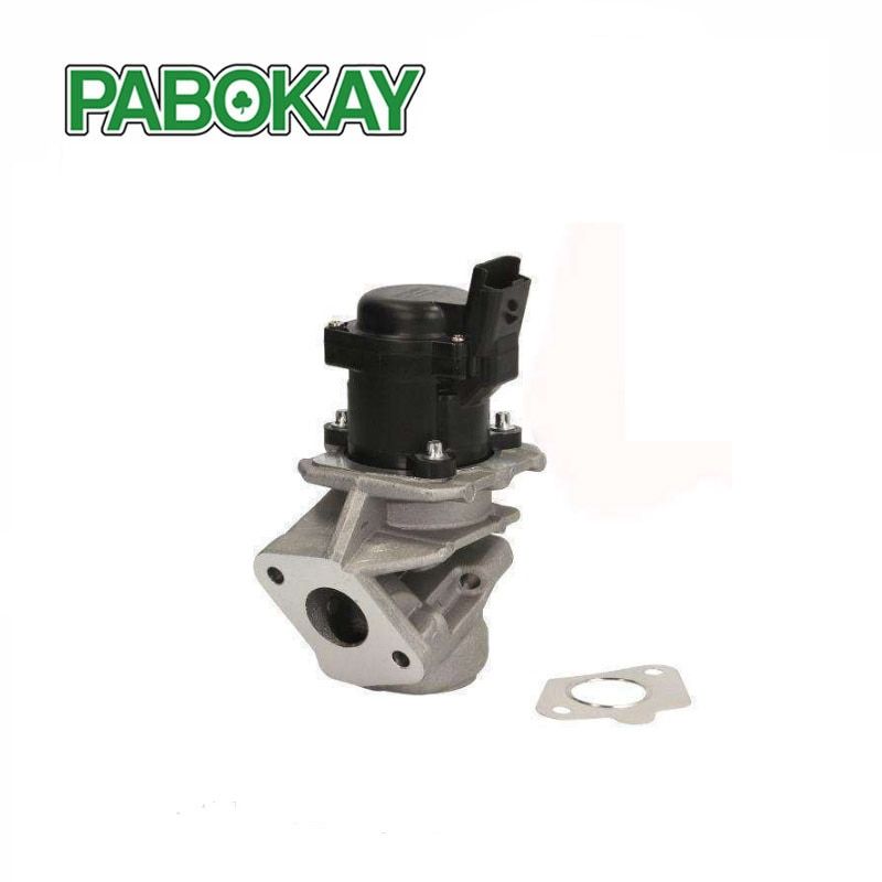 For Peugeot 206 207 307 308 407 1.6 Hdi Egr Valve 1618.nr