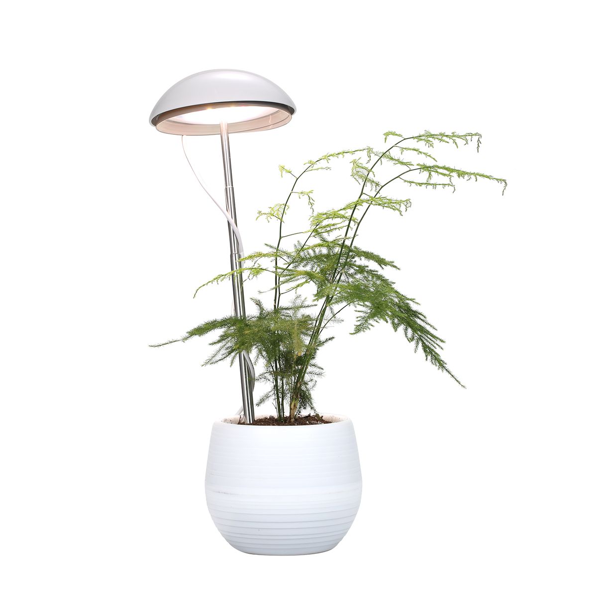 Neoglint LED Potted Plant Growing Lamp Full Spectrum Plant