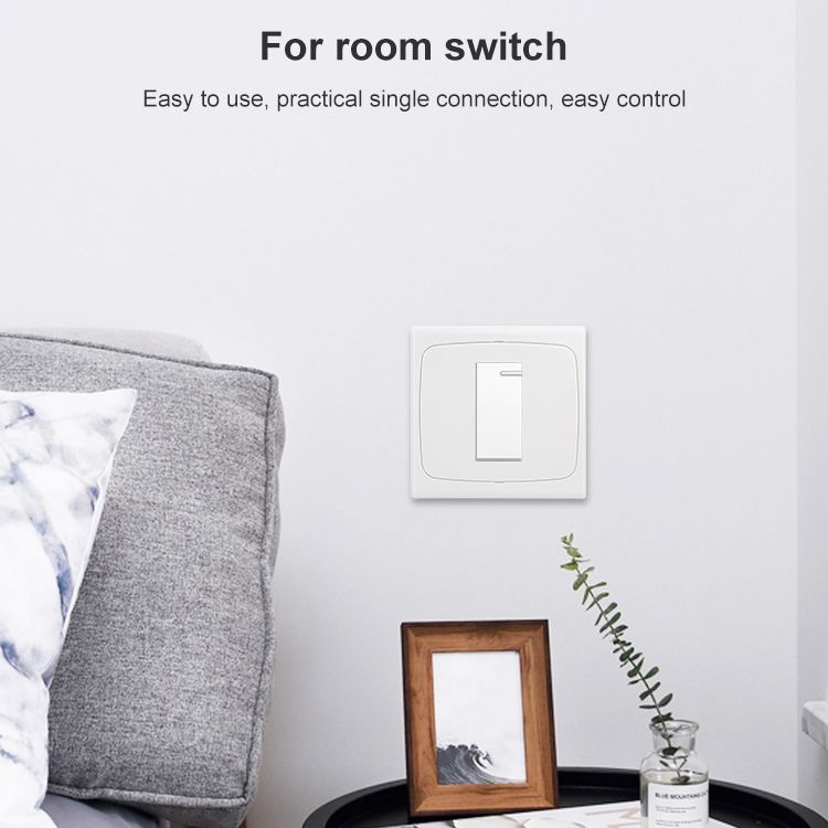 Wall Plate With Screw For Blank Inserts - 1 Hole