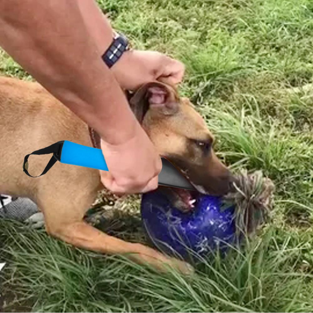 Dog Break Stick Dog Training Product No Slip Training Toy Supplier For Medium Large Dogs Pitbull Terrier German Shepherd-Black