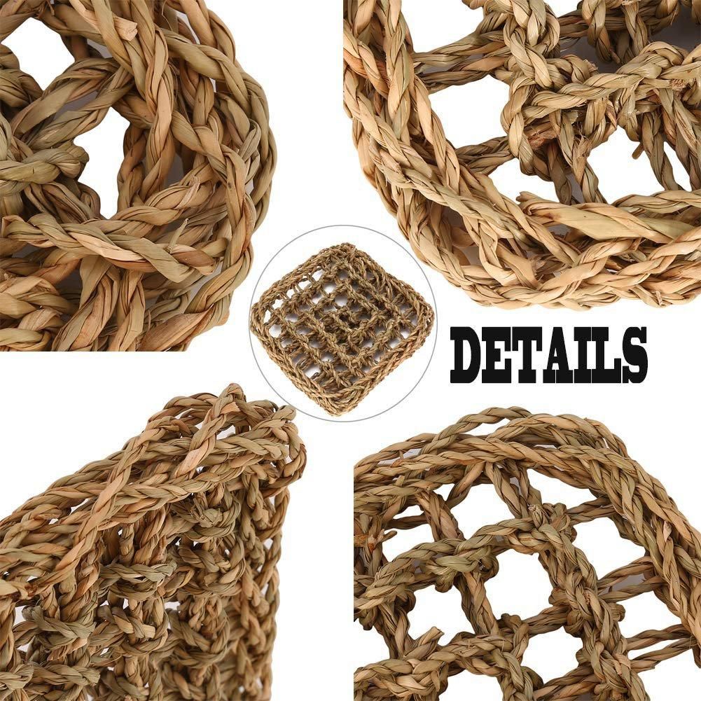Bearded Dragon Hammock Reptile Hermit Climbing Toys Tank Accessories for Habitats Pack of 2