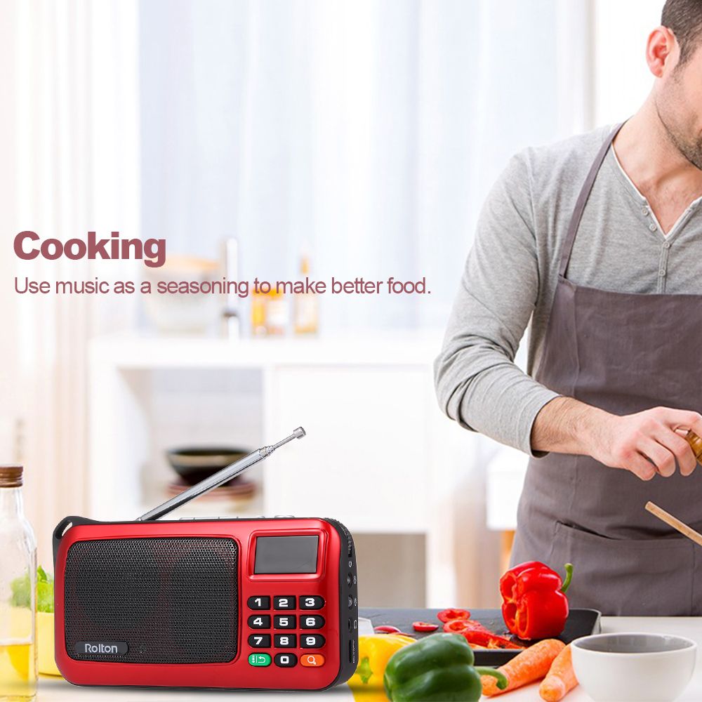 W405 FM Digital Radio Portable USB Wired Computer Spe