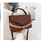 Fashion Woman Handbag_ Brown