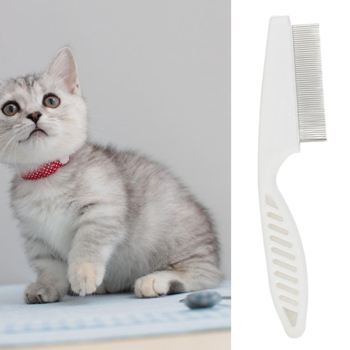 Cat Grooming Brush Pet Cat Dog Hair Grooming Comb White
