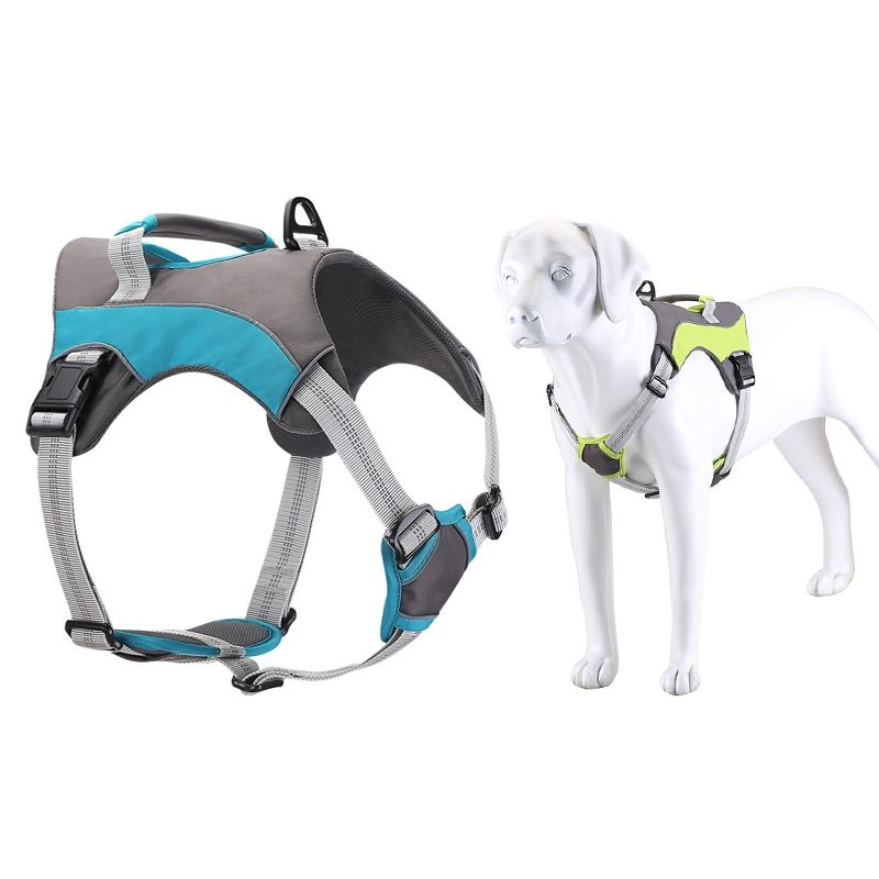 Dog Chest Back Leash, S