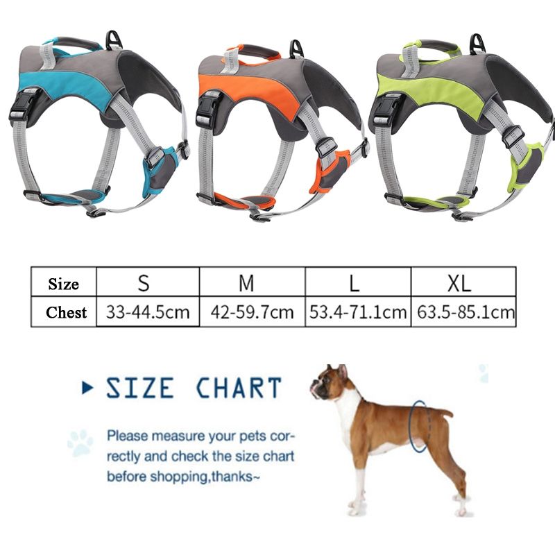 Dog Chest Back Leash, S