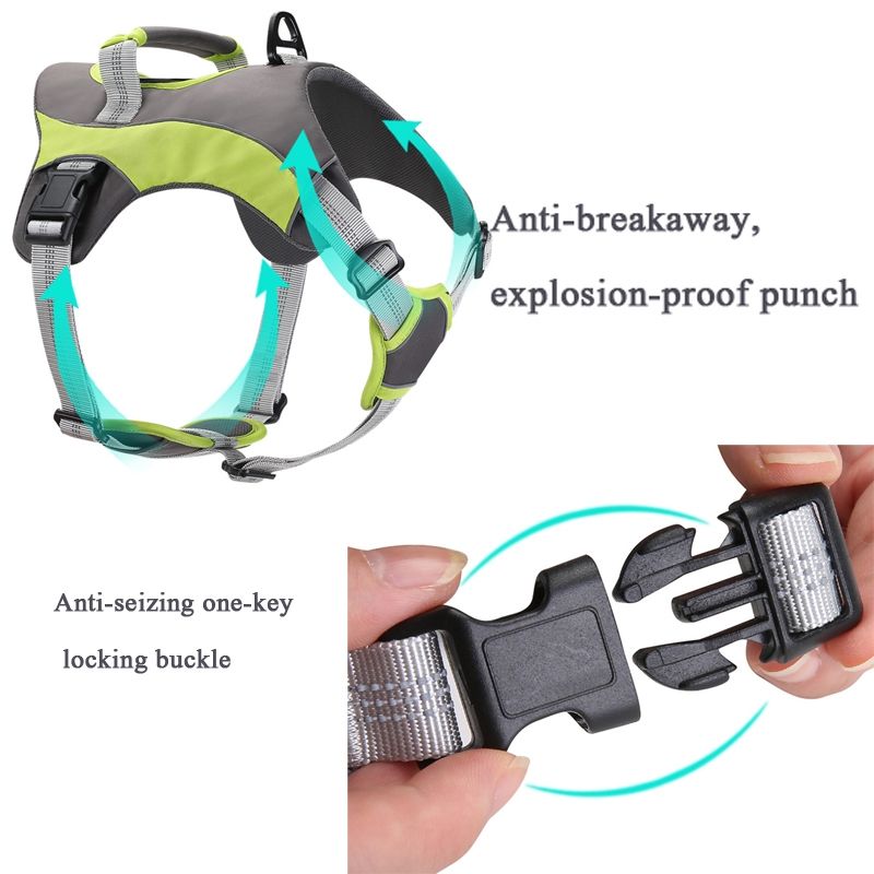 Dog Chest Back Leash, S
