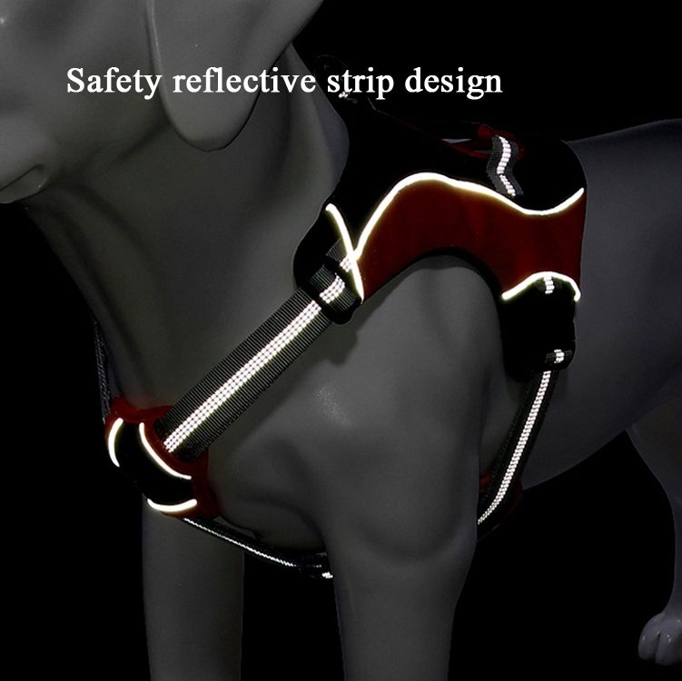 Dog Chest Back Leash, S