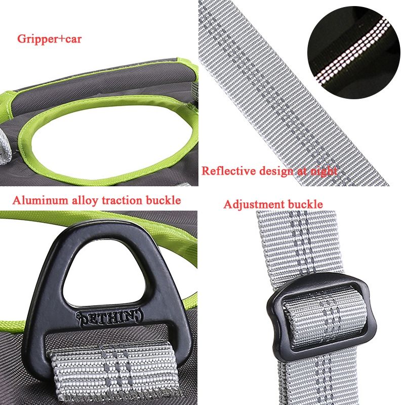 Dog Chest Back Leash, S