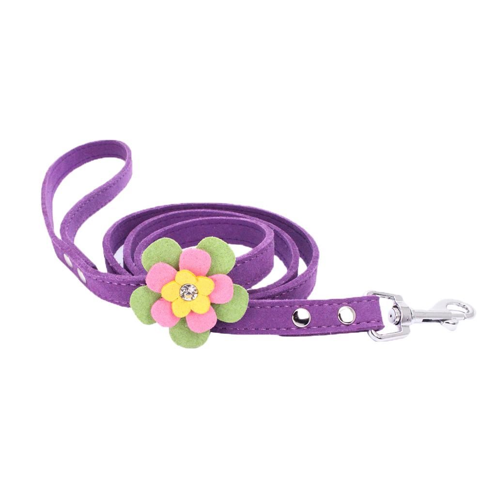Dog Walking Lead Deep Purple S