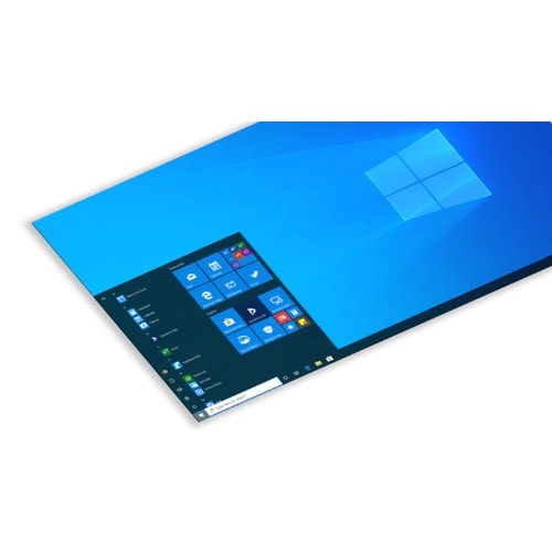 Microsoft Windows 10 Professional
