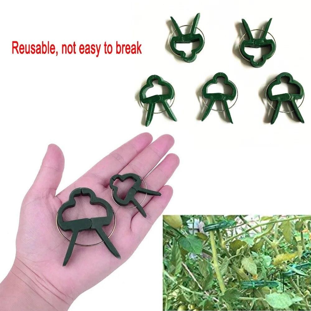 20pcs Plant Support Stand Holder Bonsai Clips Agriculture Tools Grow Kits For Garden Tree Flower Climbing Support Accessories