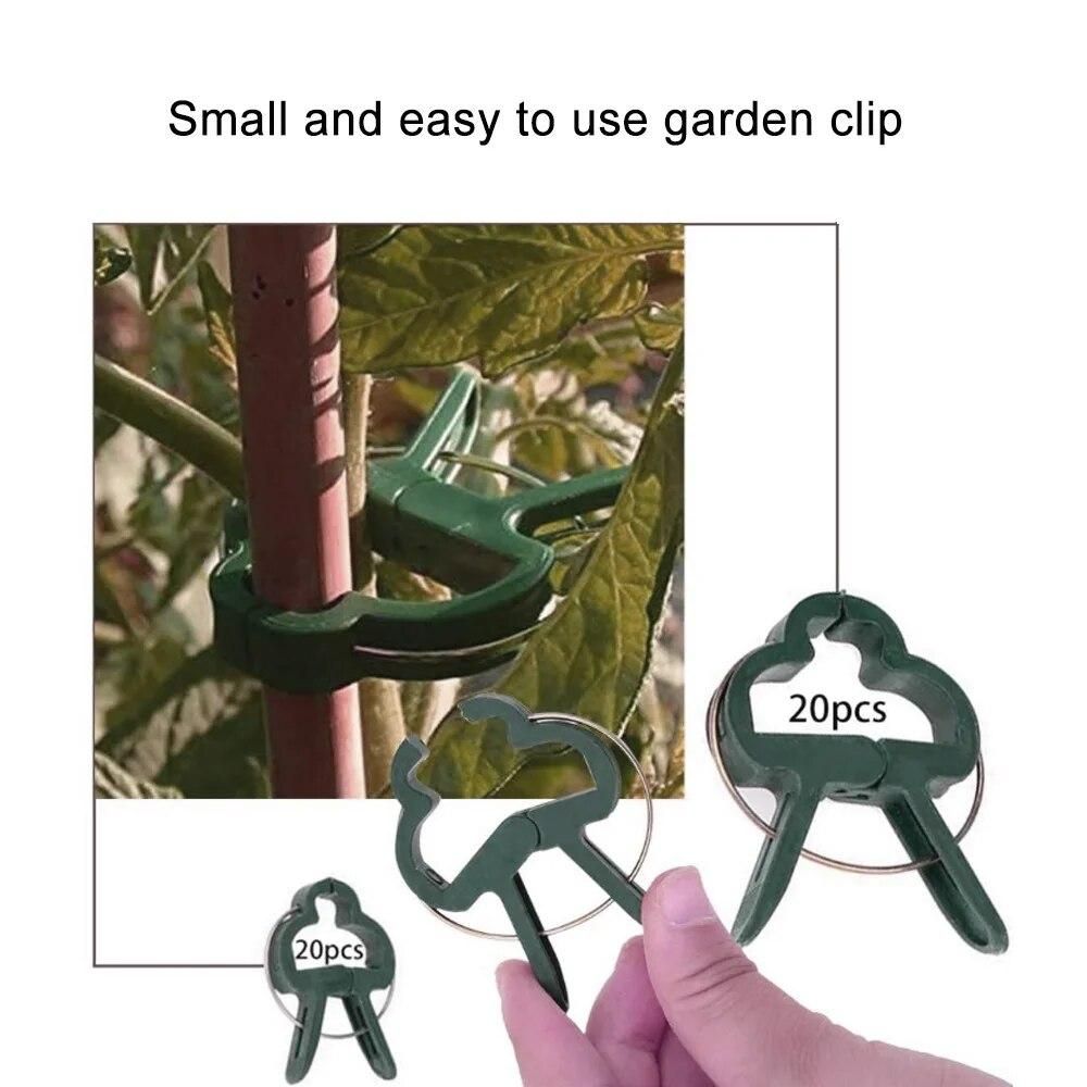 20pcs Plant Support Stand Holder Bonsai Clips Agriculture Tools Grow Kits For Garden Tree Flower Climbing Support Accessories