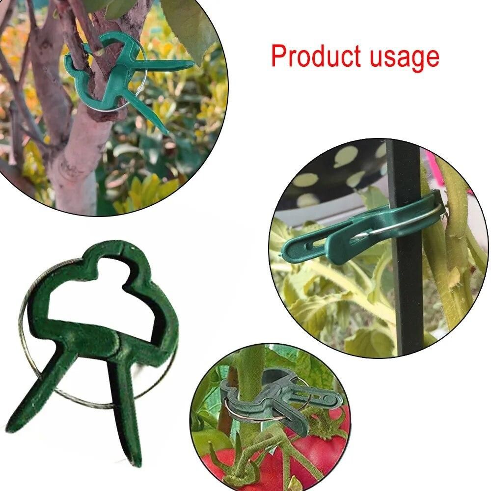 20pcs Plant Support Stand Holder Bonsai Clips Agriculture Tools Grow Kits For Garden Tree Flower Climbing Support Accessories