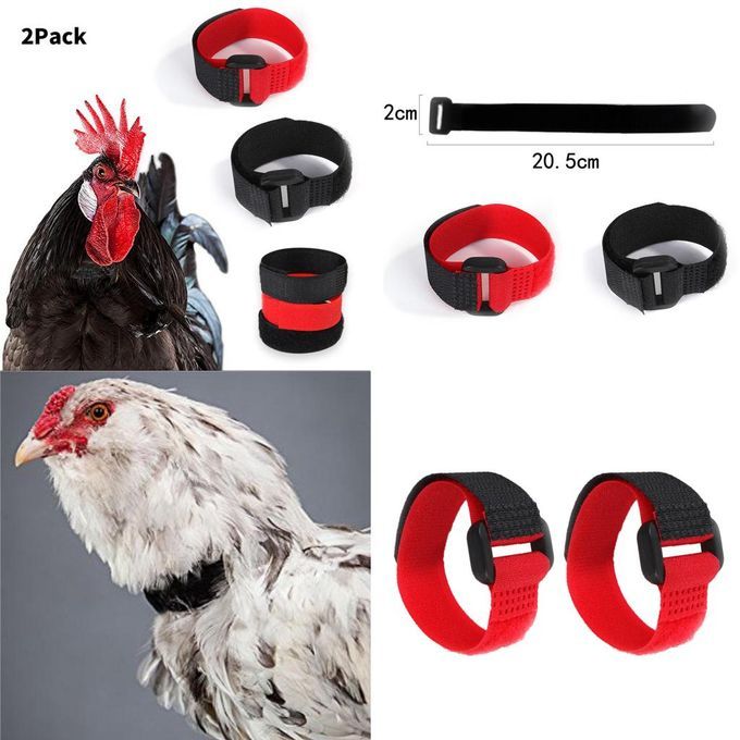 6pcs Rooster Collar Adjustable Prevent Chicken From Screaming For