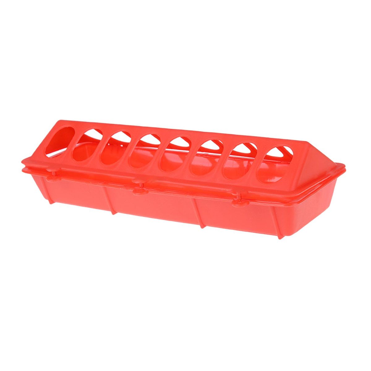 LITTLE   GROUND FEEDER Red