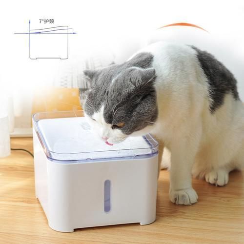 Pet Cat Water Fountain 2L Automatic Dog Drinking Dispenser Electric LED Lighting 7 Degree Slant Design Neck Care For Puppy Cats